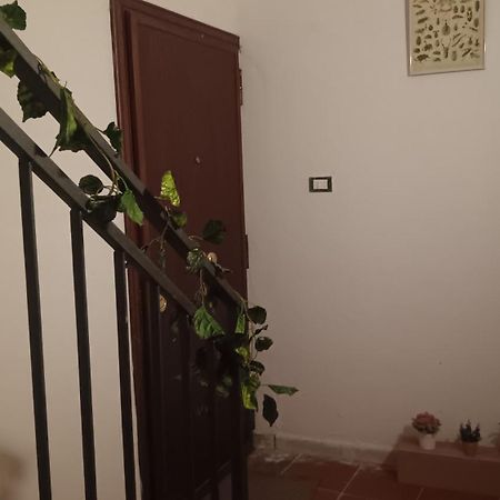 Casa Selinunte Lejlighed Palermo Eksteriør billede